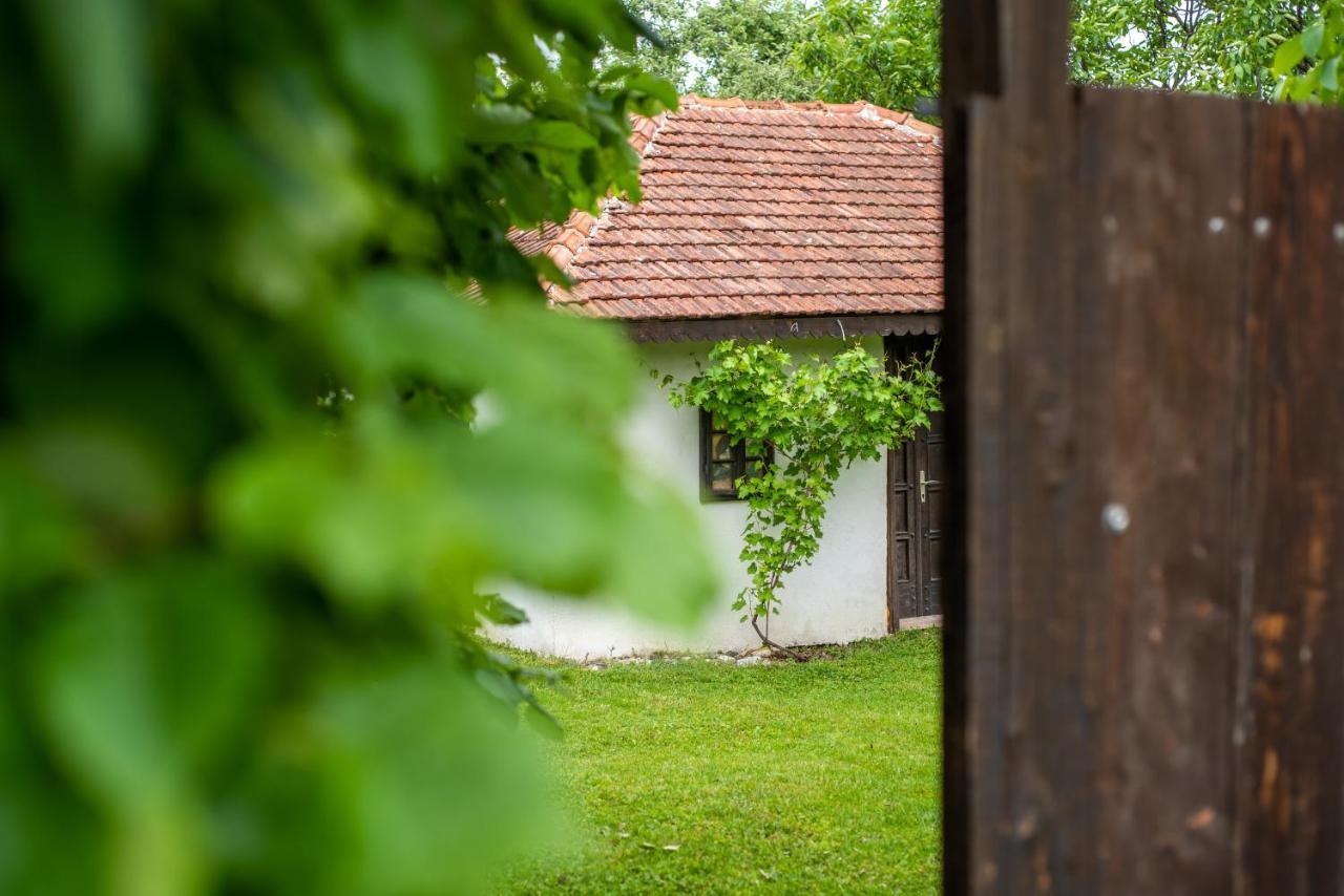 Lodge Morava Vrnjačka Banja Extérieur photo